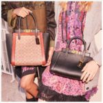 高級ブランド福袋21通販 予約 店舗販売 中身ネタバレ ハイブランド福袋はレディース メンズ フルラやグッチ バッグや財布 小物 時計 アクセサリーがオンラインで激安価格 歴史は美女がつくる 美女研究ブログ